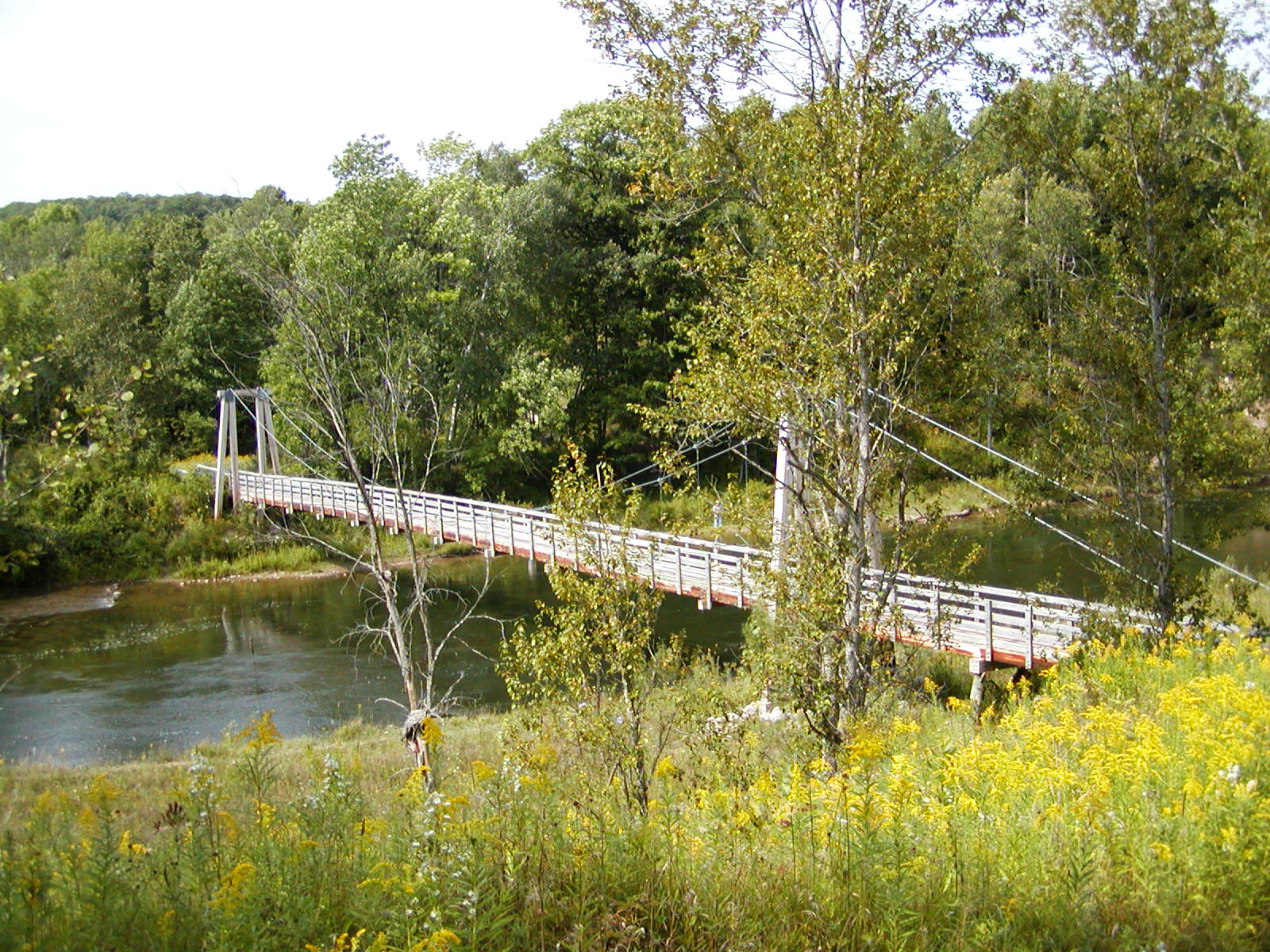 bridge