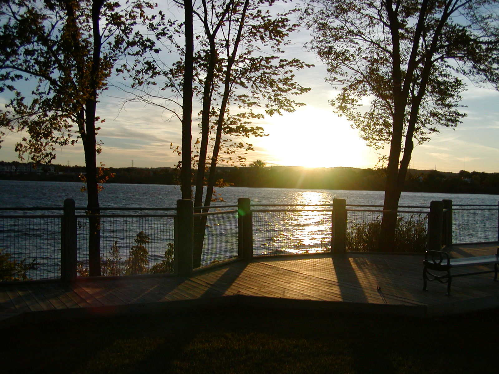 sunset trees boardmanlake